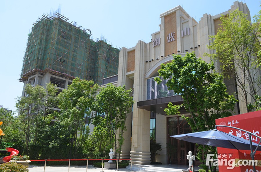 河源新域蓝山最新动态揭秘,蓝山脚下的欢乐日常