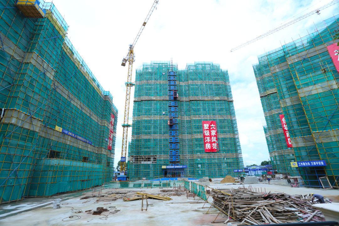 惠东嘉旺城最新动态揭秘,小巷深处的独特风情