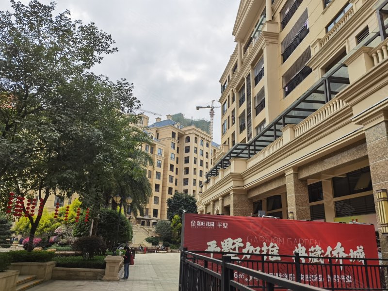 惠东嘉旺城最新动态揭秘,小巷深处的独特风情