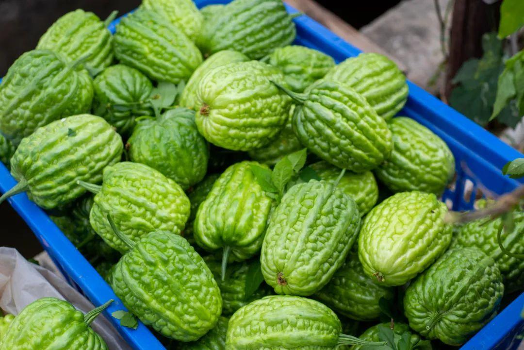 佛山限外地车最新政策更新消息