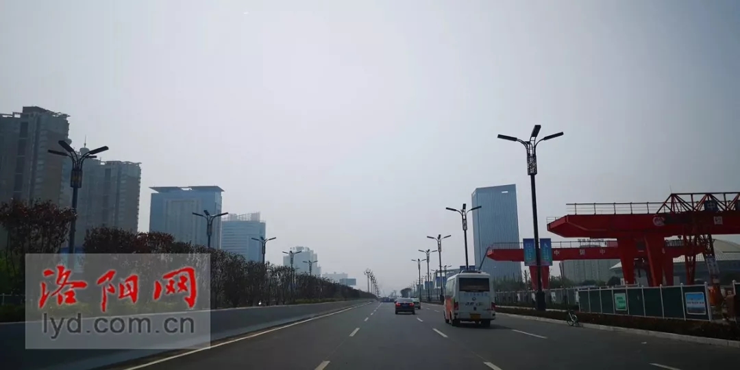 洛阳王城大道最新动态更新🌸