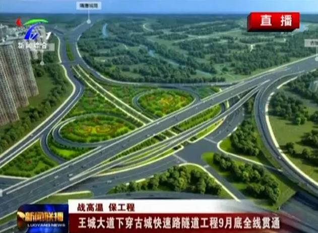 洛阳王城大道最新动态更新🌸