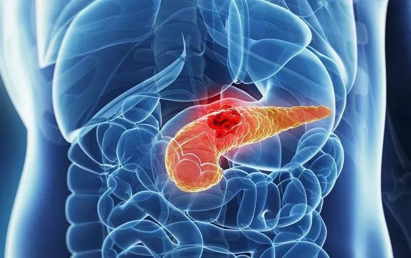 2024年生殖器疱疹攻克进展,实时异文说明法_HIT38.705梦想版