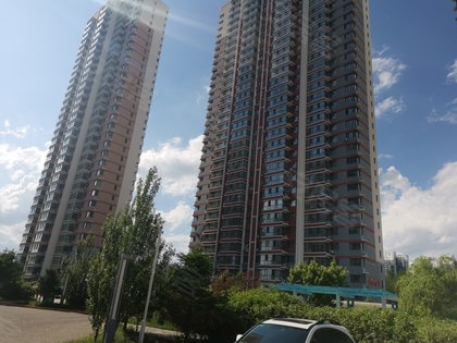 西昌鑫海国际最新动态，任务指南与技能学习步骤详解