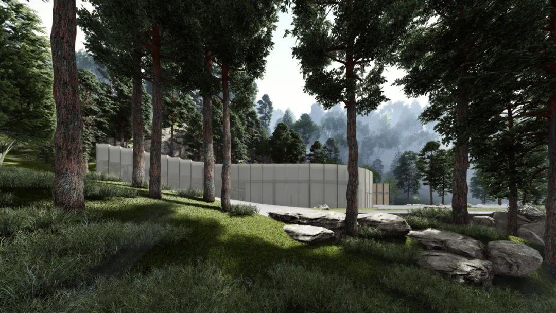 蒙山地面波最新动态与小巷深处的独特风味探索