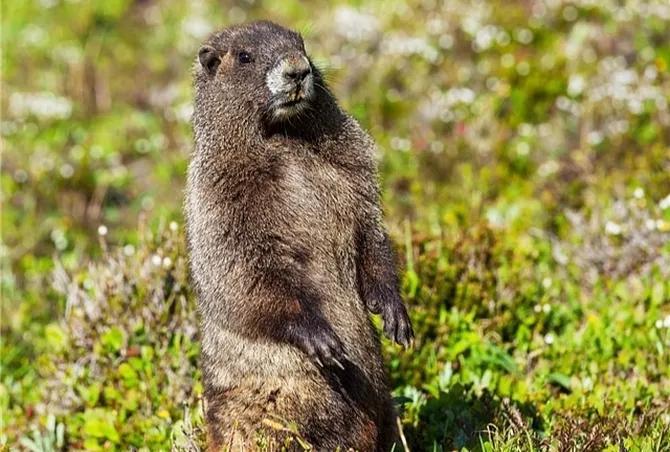 拉萨至重庆火车最新时刻表公布