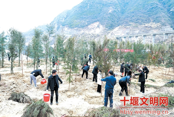 湖北房县最新消息更新速递