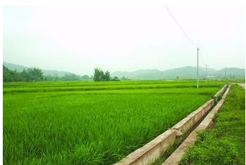 智能监管科技重塑土地管理新篇章，最新基本农田处理办法解析