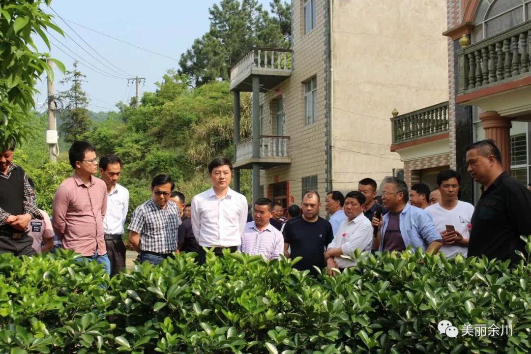 余川镇陈保佳最新动态,观点阐述与分析