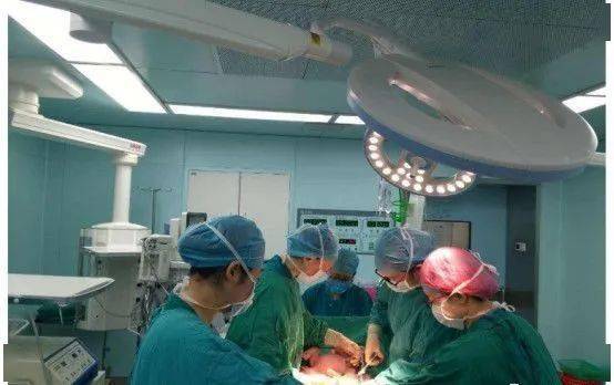 戴建武研究最新进展揭秘