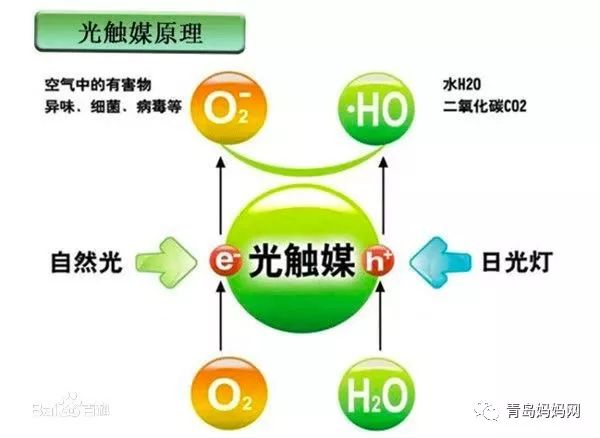 三肖必中三期必出凤凰网开,设计规划引导方式_YSG93.264智能版