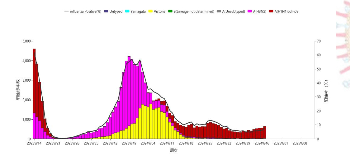 2024年11月份新病毒,详情执行数据安援_XRC23.564声学版