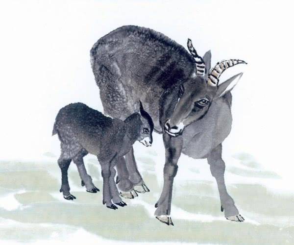 今天晚上澳门三肖兔羊蛇,科学解释分析_NQX97.357启动版