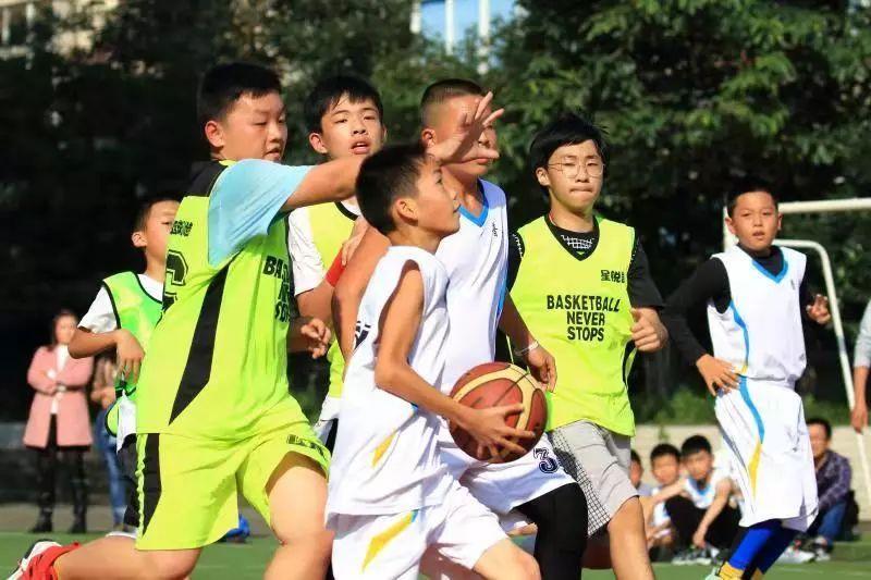 新津县邓双镇最新规划概览🌆