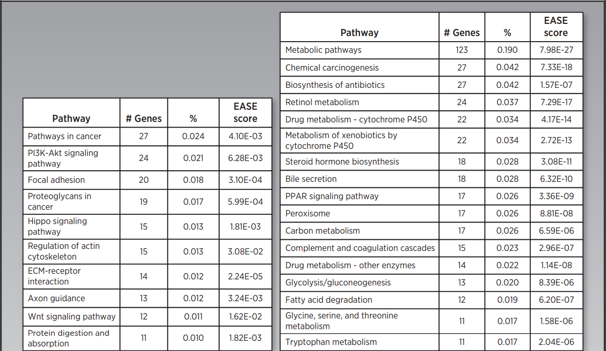 澳门精准12码中特,数据整合解析计划_WYF97.290旗舰设备版