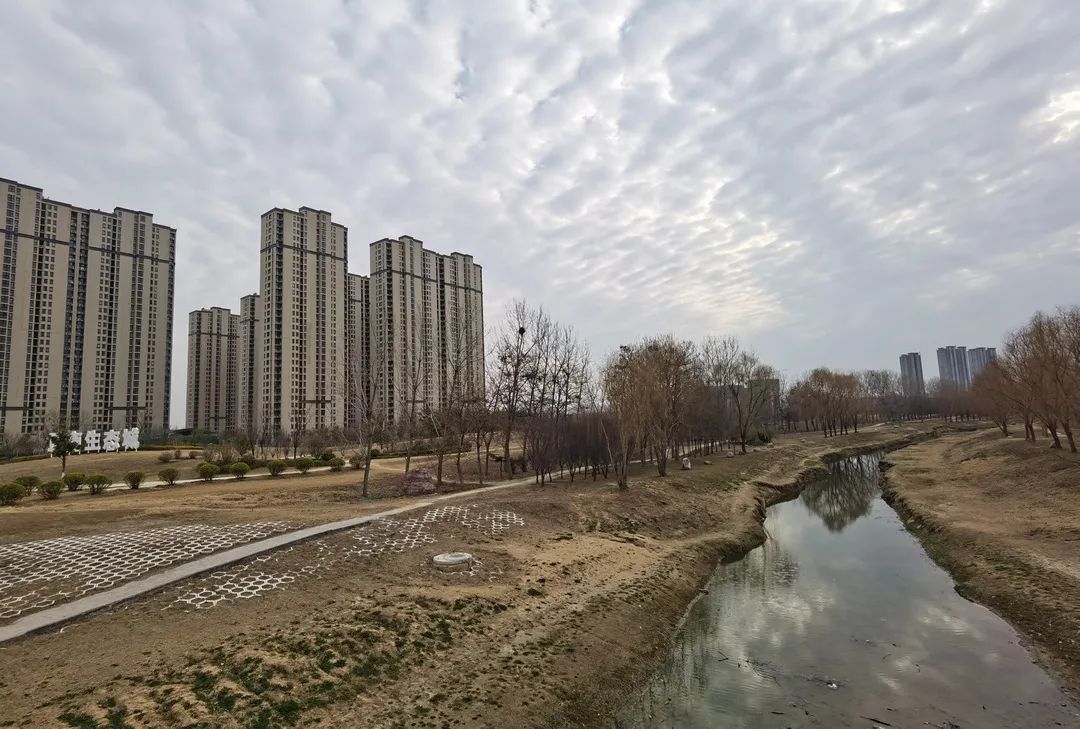 漯河小李庄最新进展,日常趣事与深厚友情中的新篇章