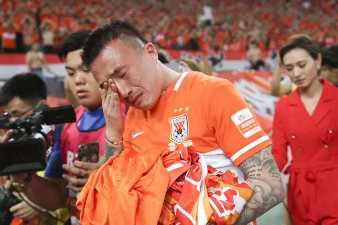 权健大球场最新动态,科技前沿的球场体验揭秘