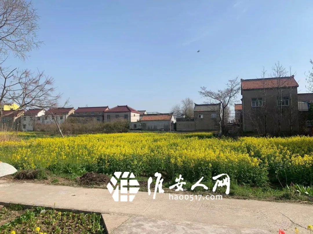 淮安市毛渡村最新动态更新🌱