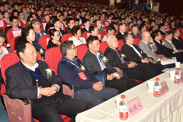 杨宽生最新动态,技能提升与任务完成指南揭秘