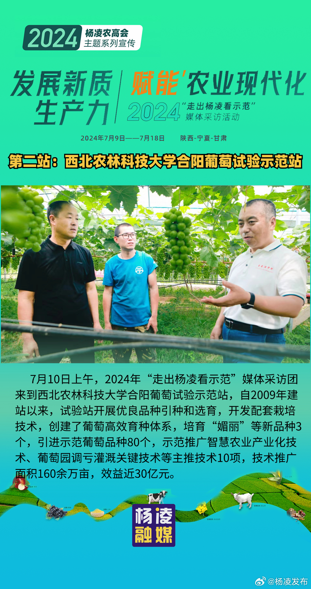 杨敬农最新消息2024,科技新品引领未来生活新潮