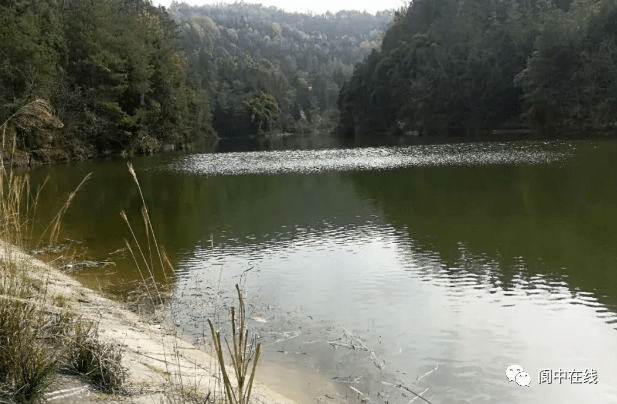 阆中柏垭最新进展更新,最新动态揭秘