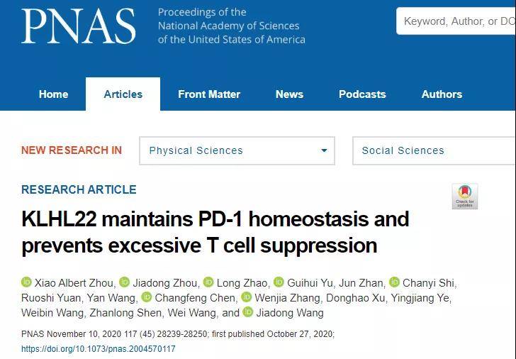 2024年正版4949资料正版免费大全,实地研究解答协助_VBC93.947知识版