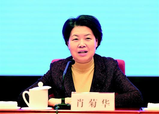 2024年肖菊华案件,数据指导策略规划_NHY41.942零售版