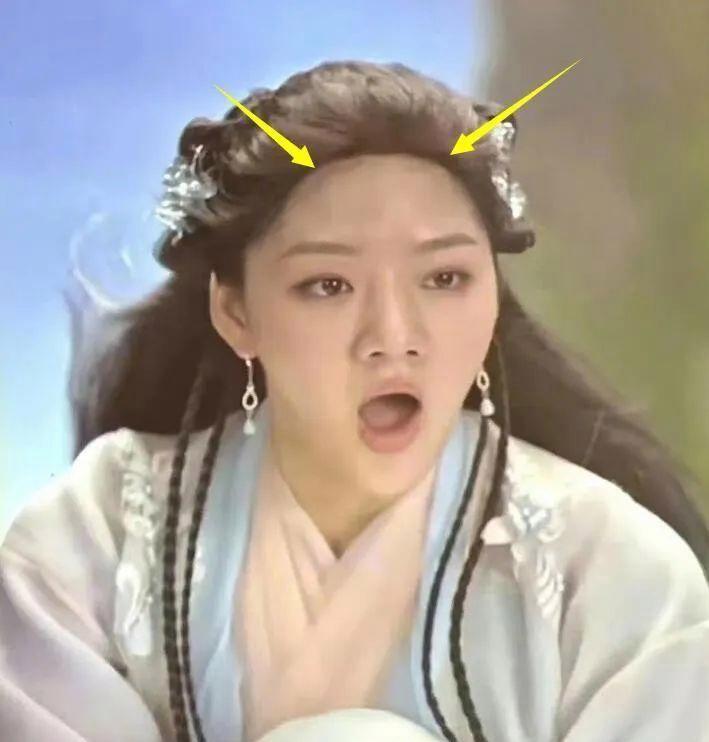 猪猪侠最新一部揭晓,热血冒险继续!