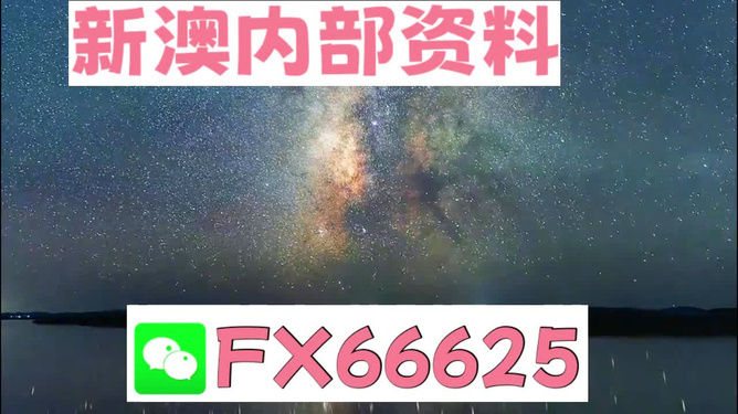 新澳天天彩免费资料大全最新版本,数据导向计划_DZQ97.206并发版