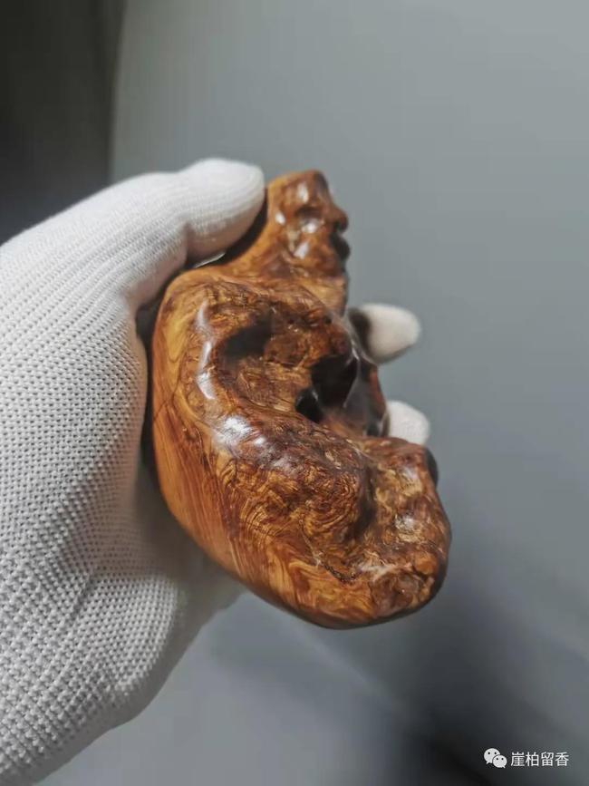 太行山崖柏探寻之旅,揭开古老植物的神秘面纱最新消息