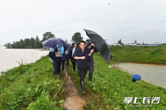 长沙市委常委分工调整，影响与深度分析
