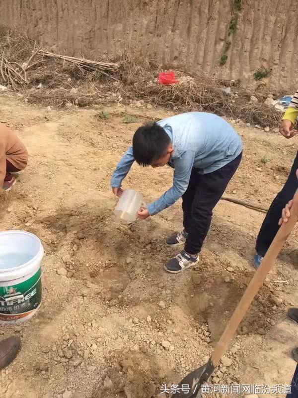 山西临汾挖眼事件最新消息更新