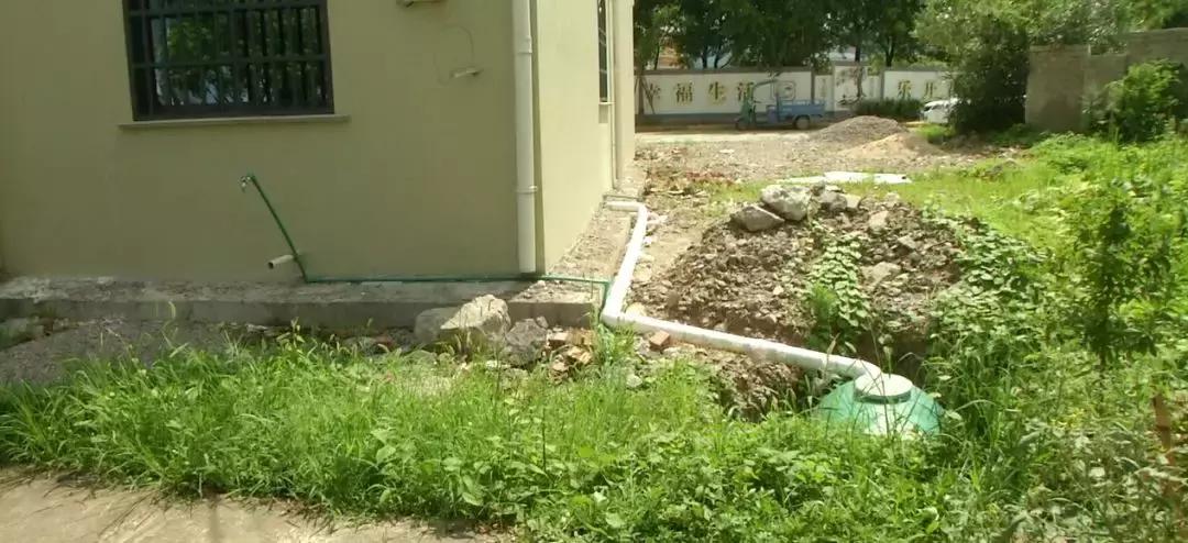 小彤热线最新一期聚焦热点新知传递,深度解读时事热点