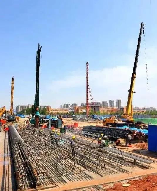 2024又要开始做核酸了,专业解读操行解决_SJG97.840DIY版