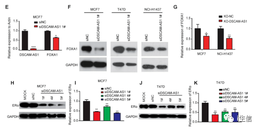 新奥门正版资料大全资料,全面数据分析_HFS41.927抓拍版