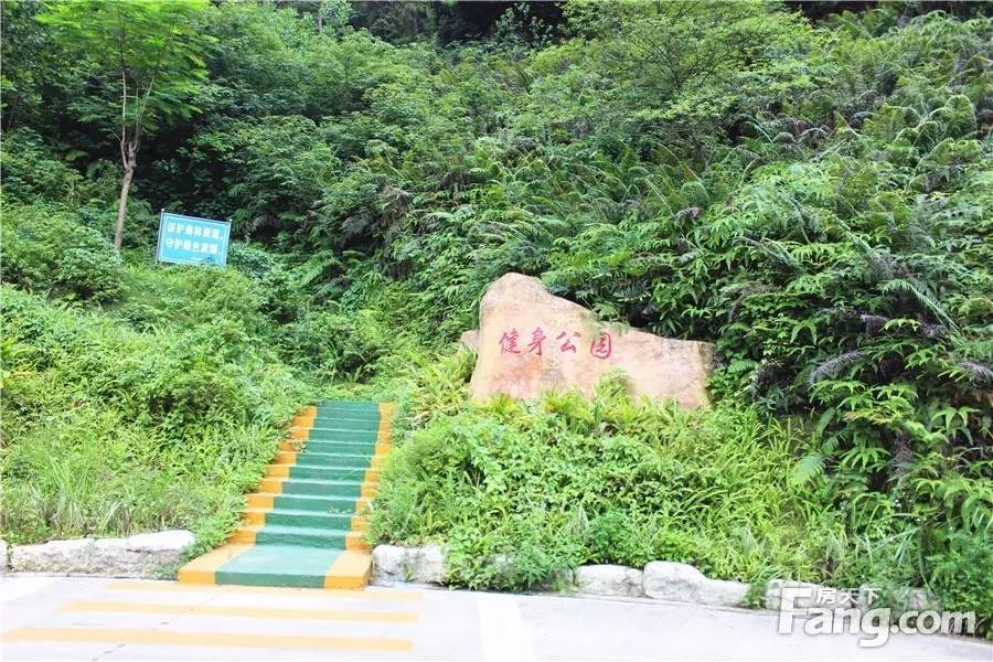 白水居苑二期最新动态,与自然美景的浪漫遨游揭秘