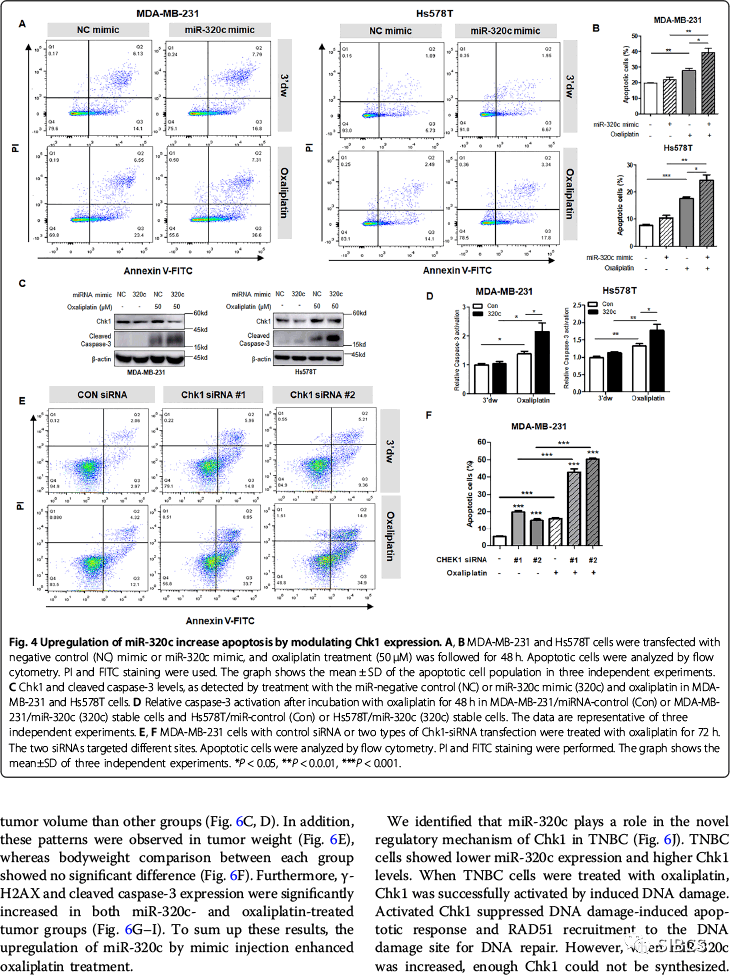 奥门九点半2130123,高效性设计规划_NQB97.896资源版