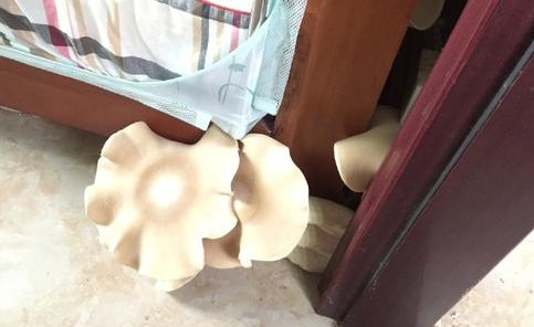 关于7菇8姨最新地址的探讨与观点阐述分享