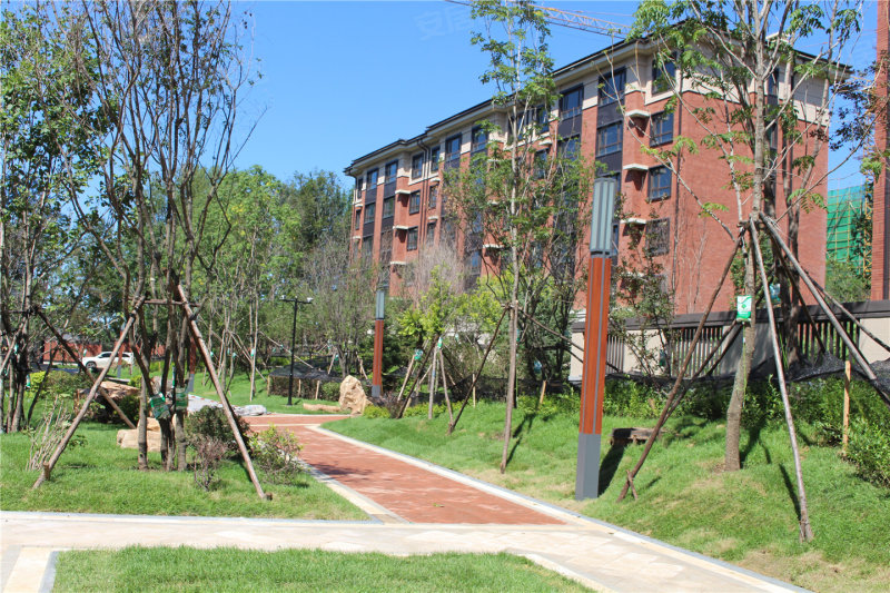 亚泰山语湖最新动态更新