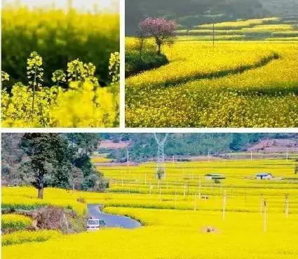 武清高村牛镇最新房源揭秘,新家的故事启程