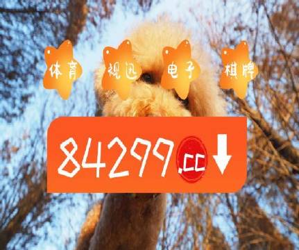 澳门天天开彩好正版挂牌图,稳固执行方案计划_NTP23.679结合版