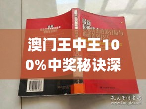 澳门王中王100%期期中,目前现象解析描述_OKY97.180探索版
