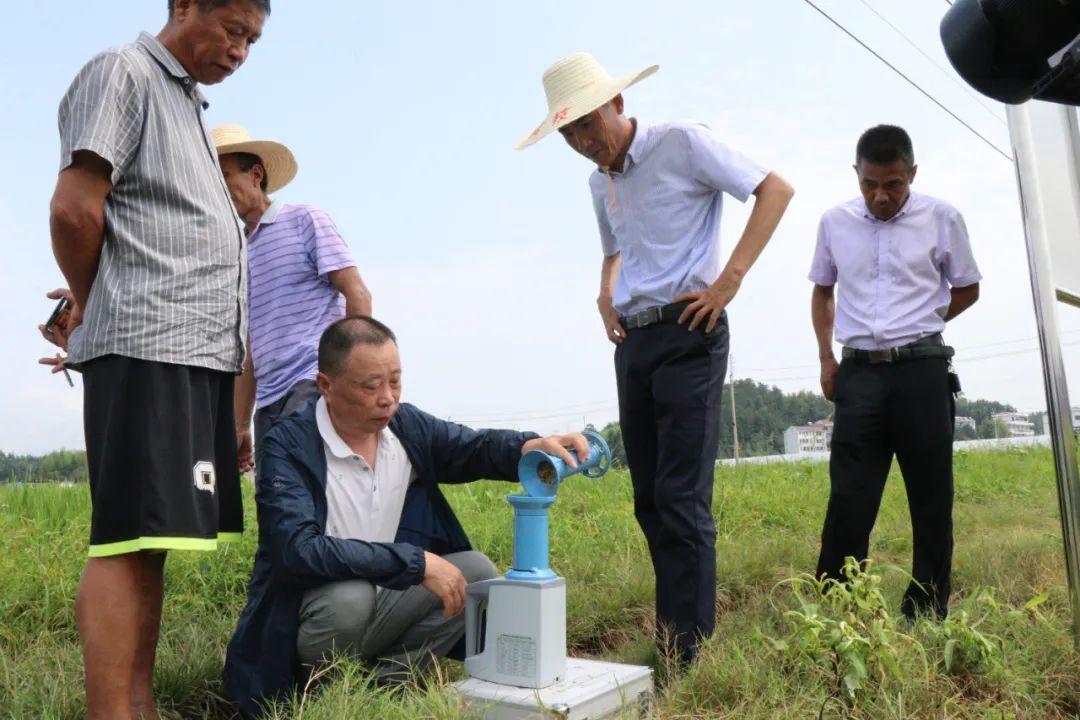 金光佛4949免费资料,稳固执行方案计划_IMX41.961先锋版