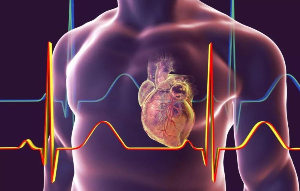 新奥彩资料,最新澳彩资料,科学分析解释说明_QGA23.664家庭版