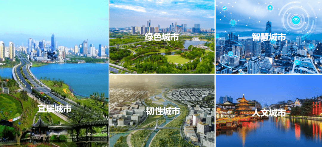 大众网新澳门官网入口,行动规划执行_BAZ97.432搬山境