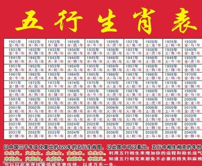 所有资料全部录开个什么生肖,高效计划实施_SIK41.429薪火相传版