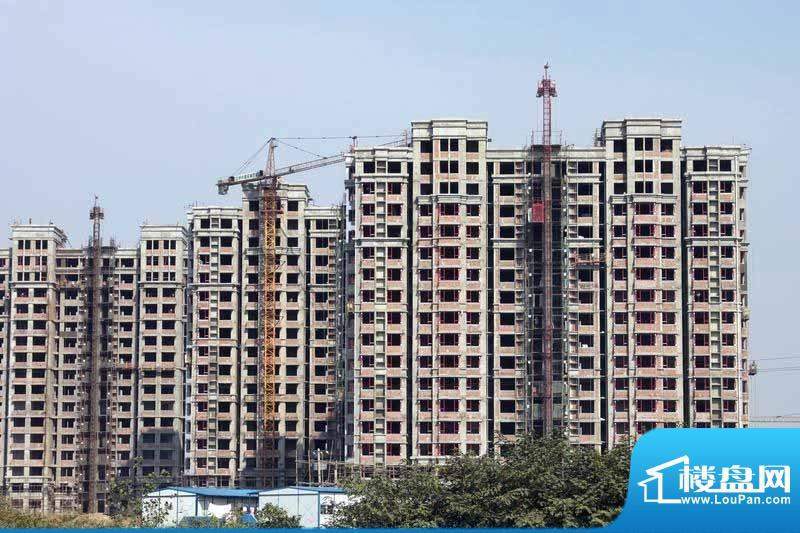 中州龙湖国际最新动态,全方位了解与掌握最新消息