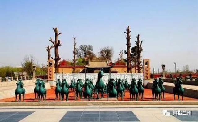 临夏州赵维国最新动态报道