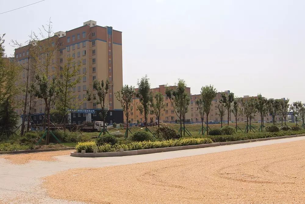 郯城东城新区未来蓝图揭晓,最新情况展望!