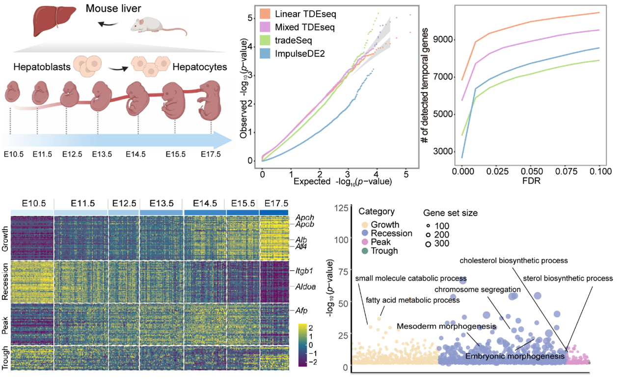 2024又要开始做核酸了,数据包络分析法_KEG58.903零售版